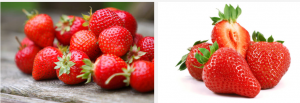 Strawberries from Uganda